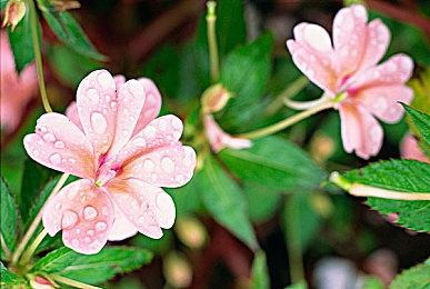 外媒爆料：《帝国时代4》制作人quinn duffy已从Relic工作室离职